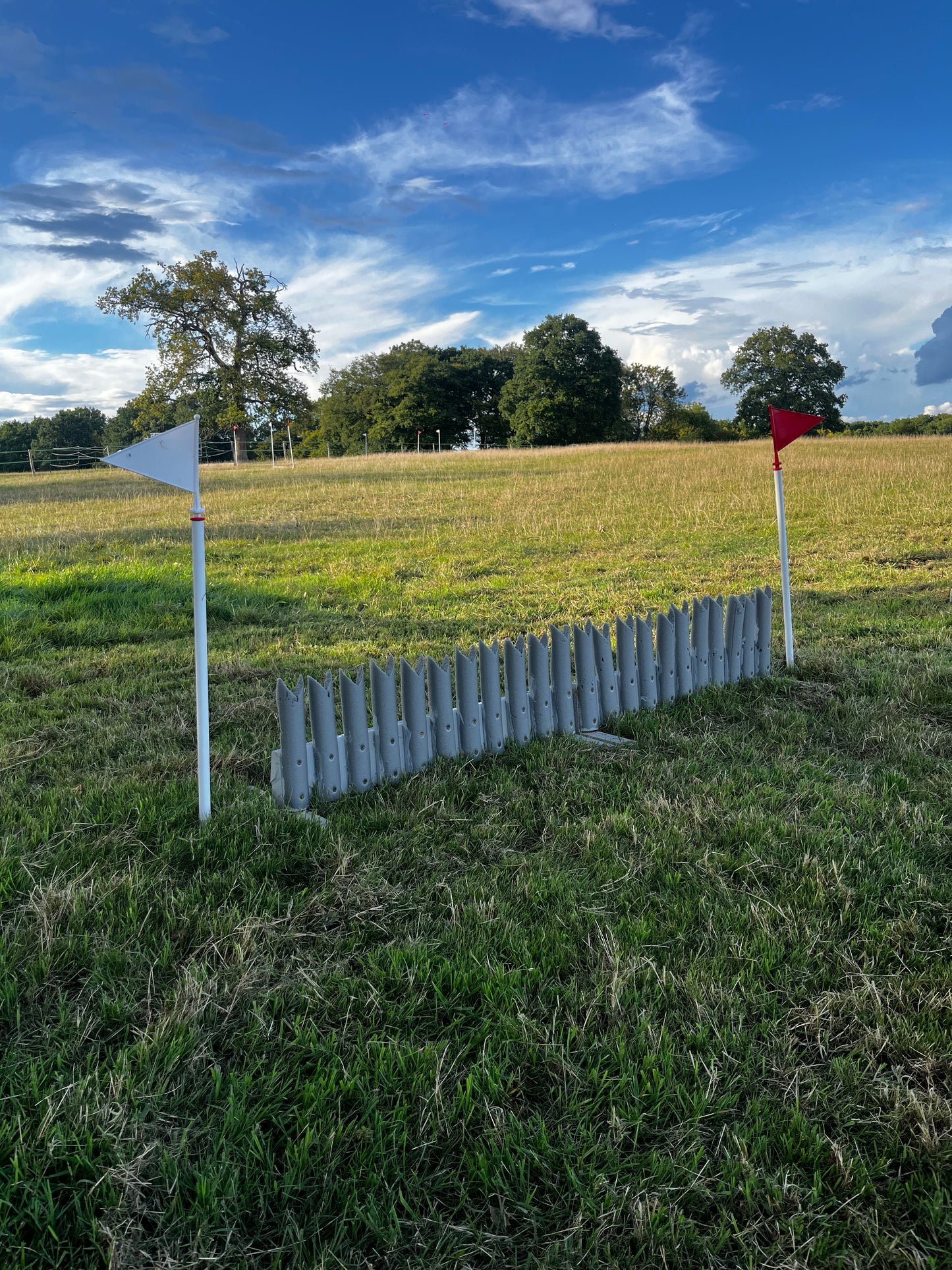 Cross Country Course Hire (for one horse)