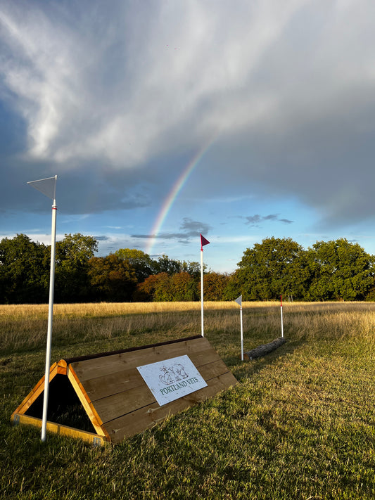 Cross Country Course Hire (for one horse)