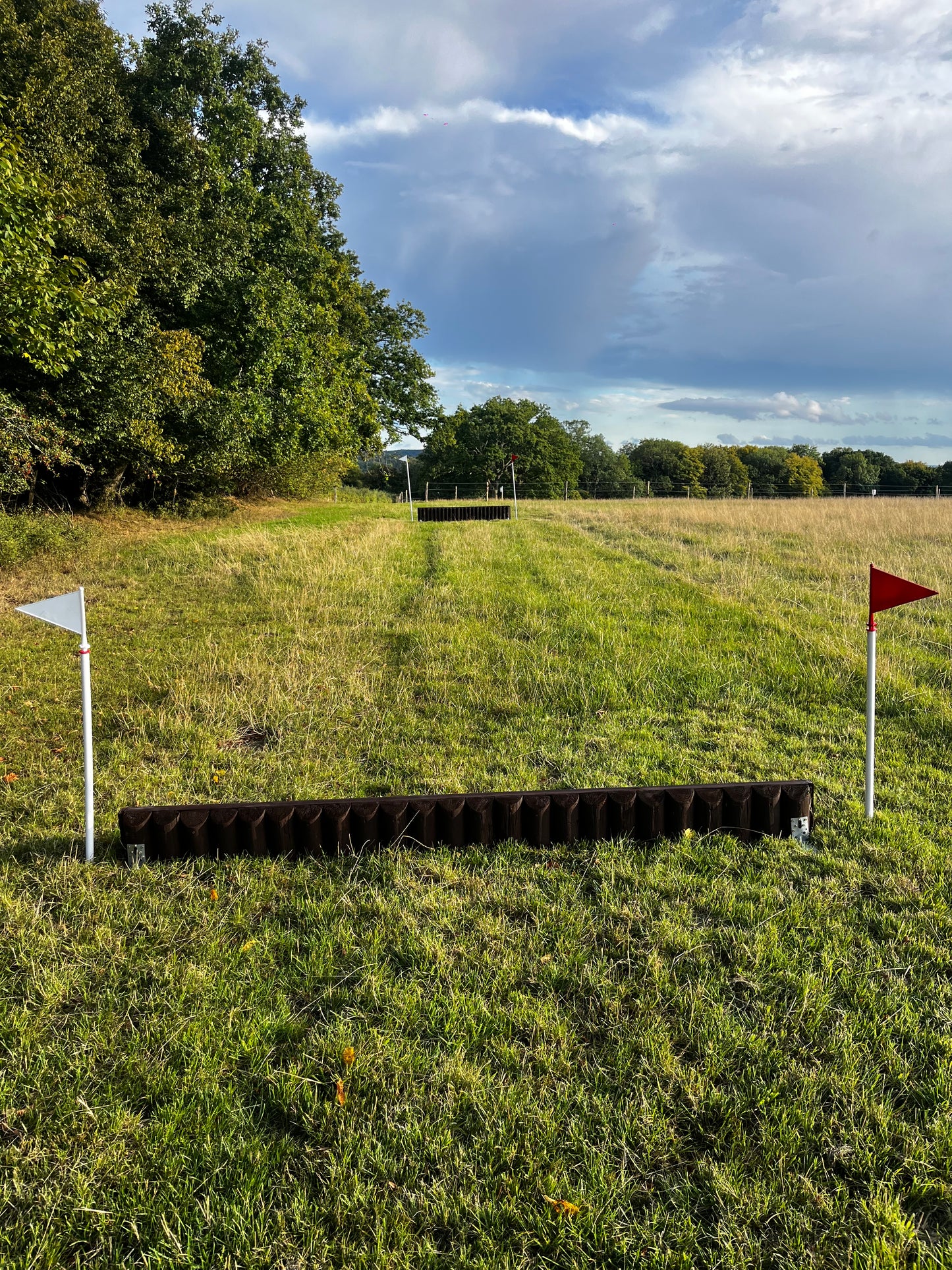 Cross Country Course Hire (for one horse)