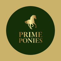 Indoor Evening Tack Sale (8th April) - single sellers pitch