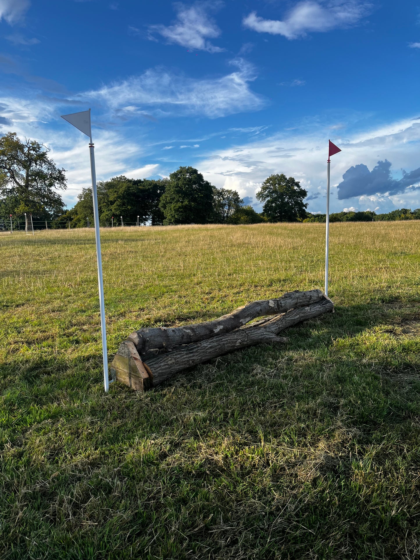 Cross Country Course Hire (for one horse)
