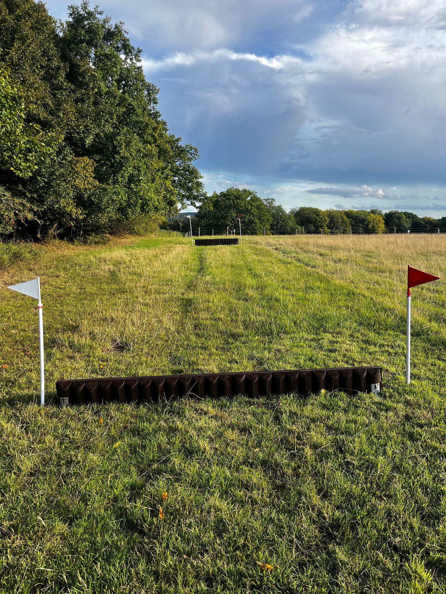 Cross Country Course Hire (for one horse)