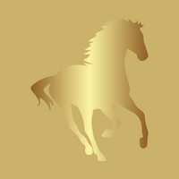 Prime Ponies training camp (July) deposit